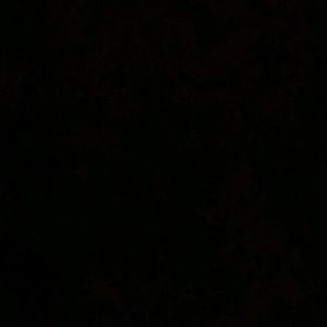 Meet your Posher, Lillian